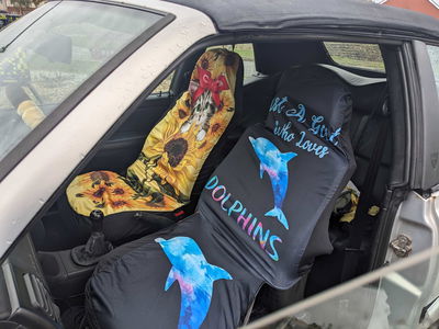 Temu seat covers