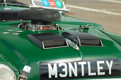 'Mentley' - front detail