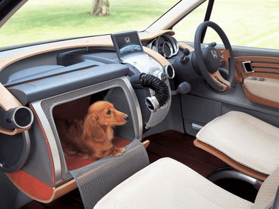Our favourite kind of co-driver