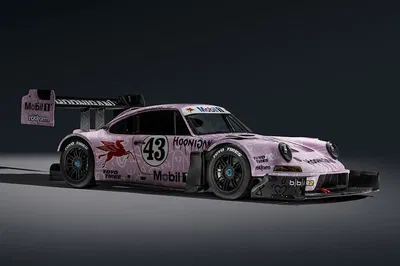 Porsche 911 'Hoonipigasus'