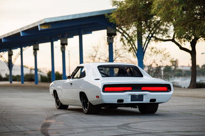 SpeedKore Ghost - rear