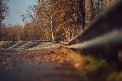 Monza's banking viewed from a distance